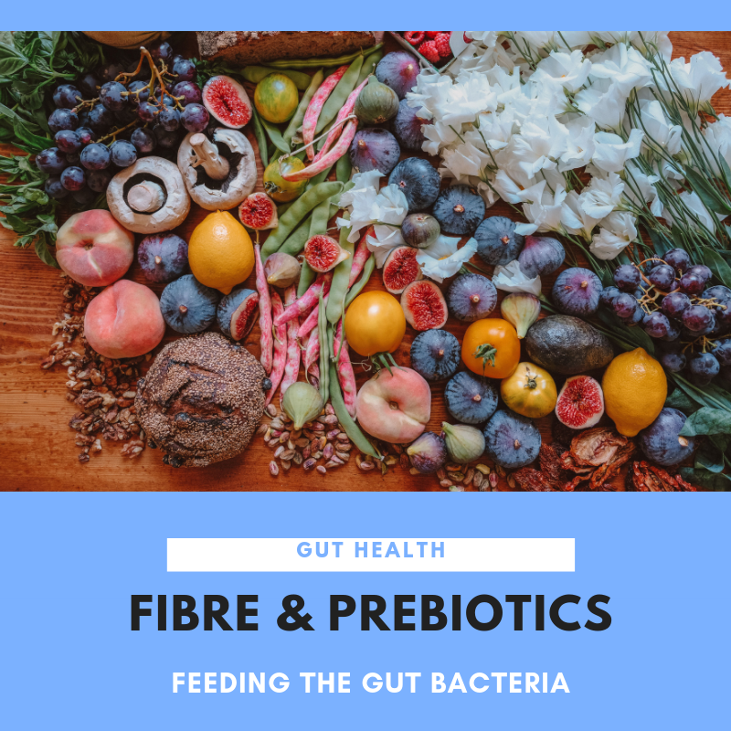 Fibre & Prebiotics for Gut Health: Feeding the Gut Bacteria